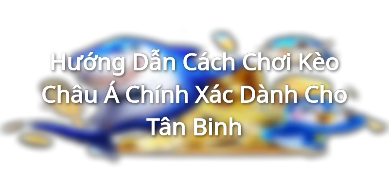 Hướng Dẫn Cách Chơi Kèo Châu Á Chính Xác Dành Cho Tân Binh keo chau a anh dai dien